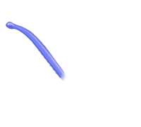 blue anemone tentacle three