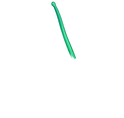 green anemone tentacle nine