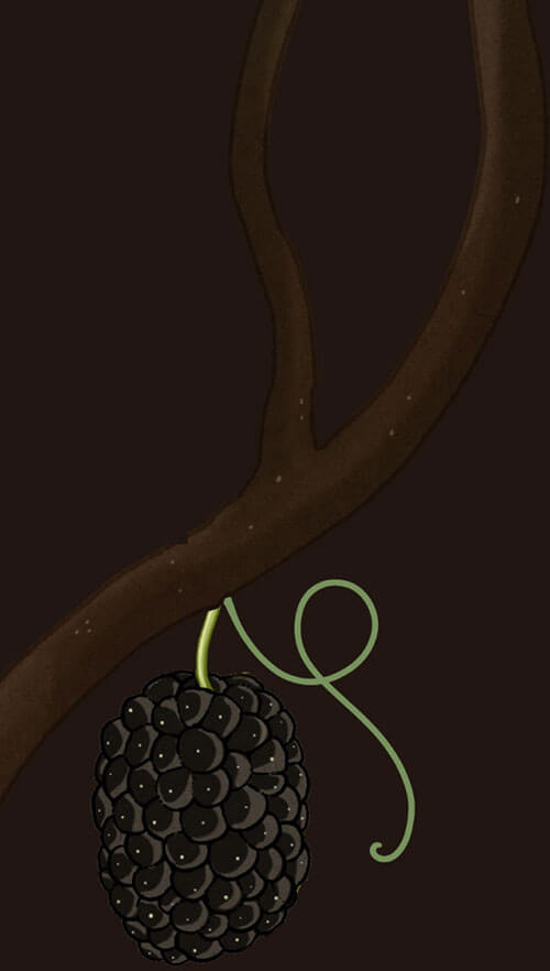 tree with blackberry